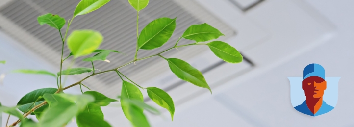 Indoor Air Quality